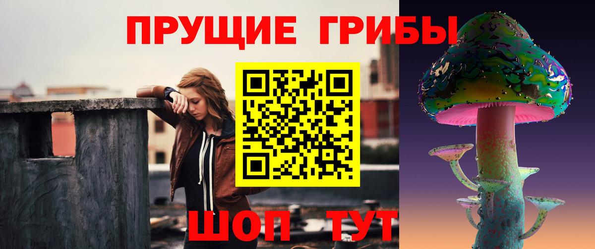 Галлюциногенные грибы Cubensis  Вход с VPN  Псилоцибиновые грибы Magic Shrooms  Камень-на-Оби 