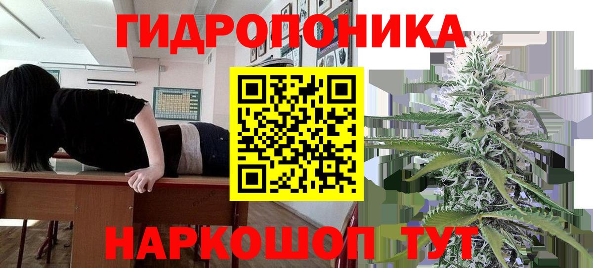 МАРИХУАНА план  Конопля ГИДРОПОН  Камень-на-Оби  Канабис планчик  Вход с VPN 